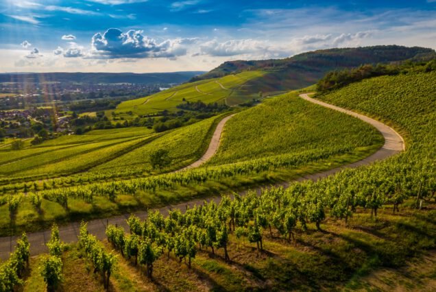 Tour privado del vino desde Dubrovnik: descubra la península de Pelješac